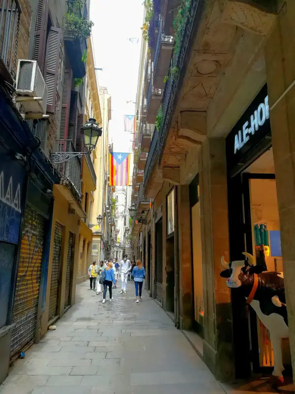 Barselona · Carrer de Petritxol