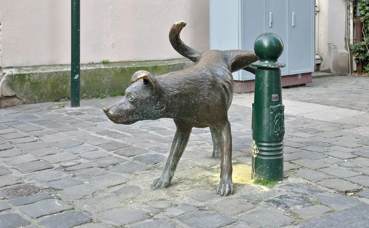Brüksel: Zinneke-Pis