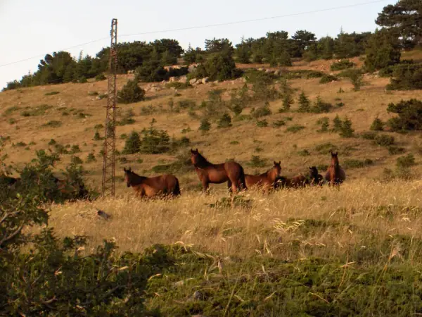 Manisa · Spil Dağı Milli Parkı