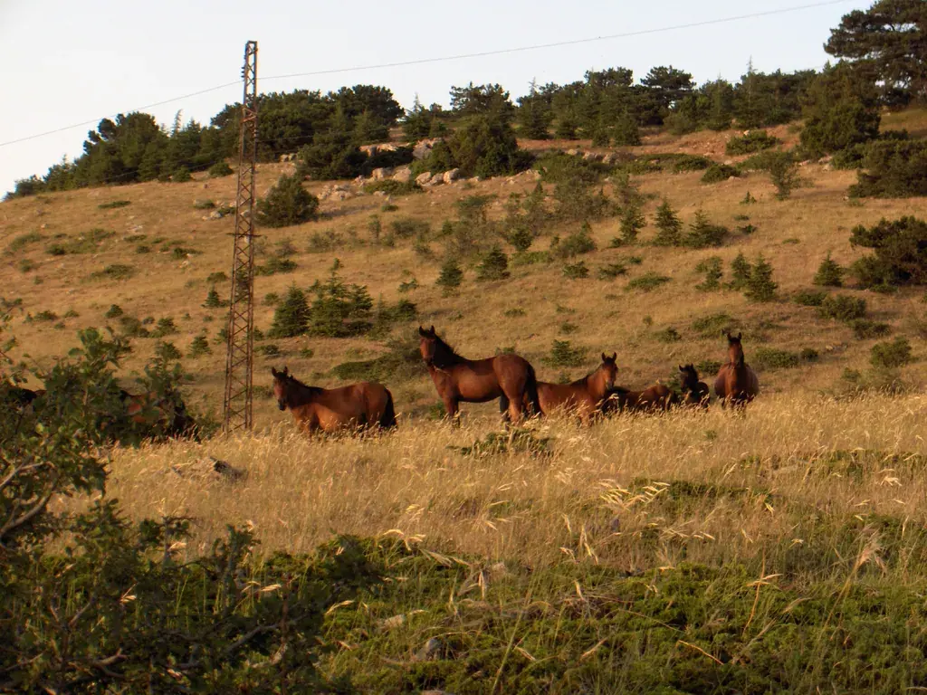 Manisa: Spil Dağı Milli Parkı